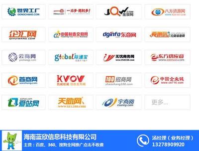 海口網絡推廣新思路 聚焦技術推廣服務與藍欣品牌賦能